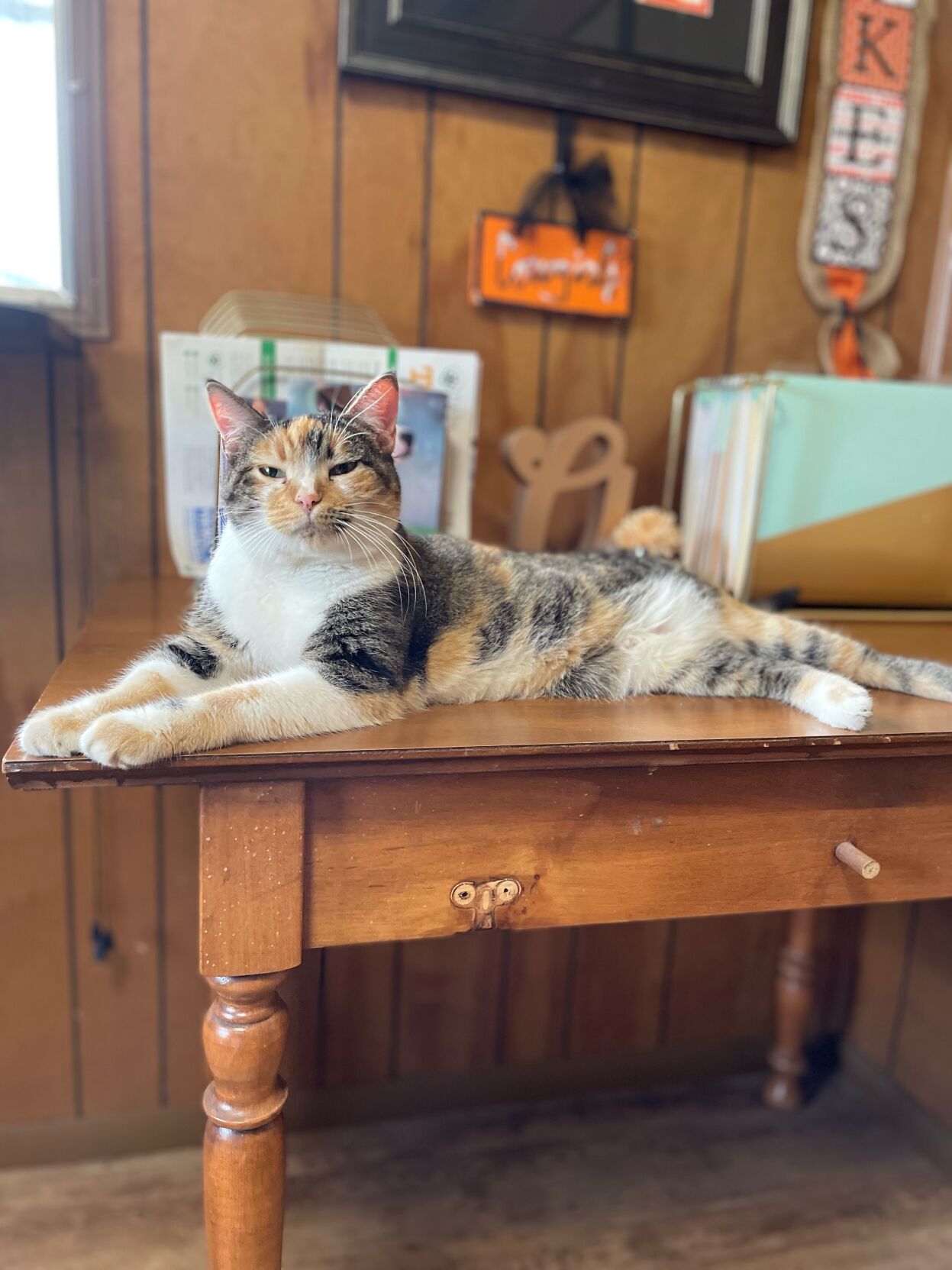 Molly